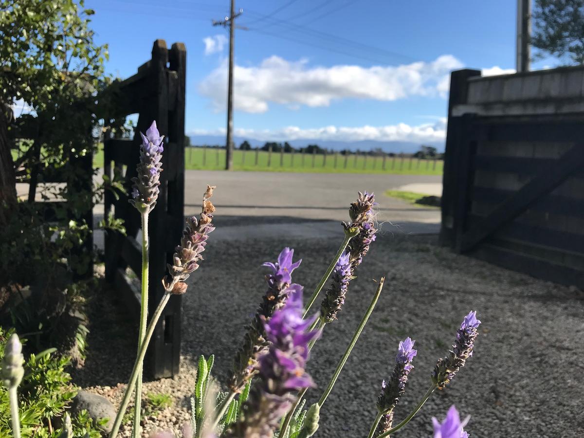 Vila Lavender53 Martinborough Exteriér fotografie